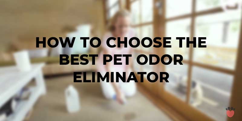 How to choose a pet urine eliminator