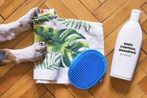 best deshedding shampoo for dogs