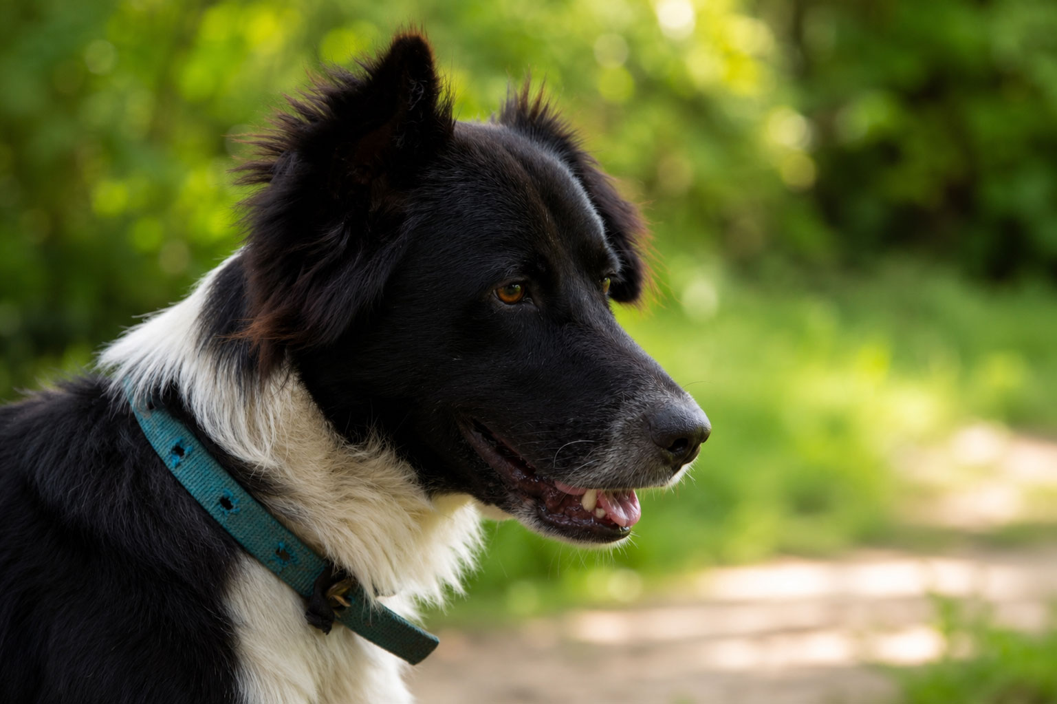 Max portrait